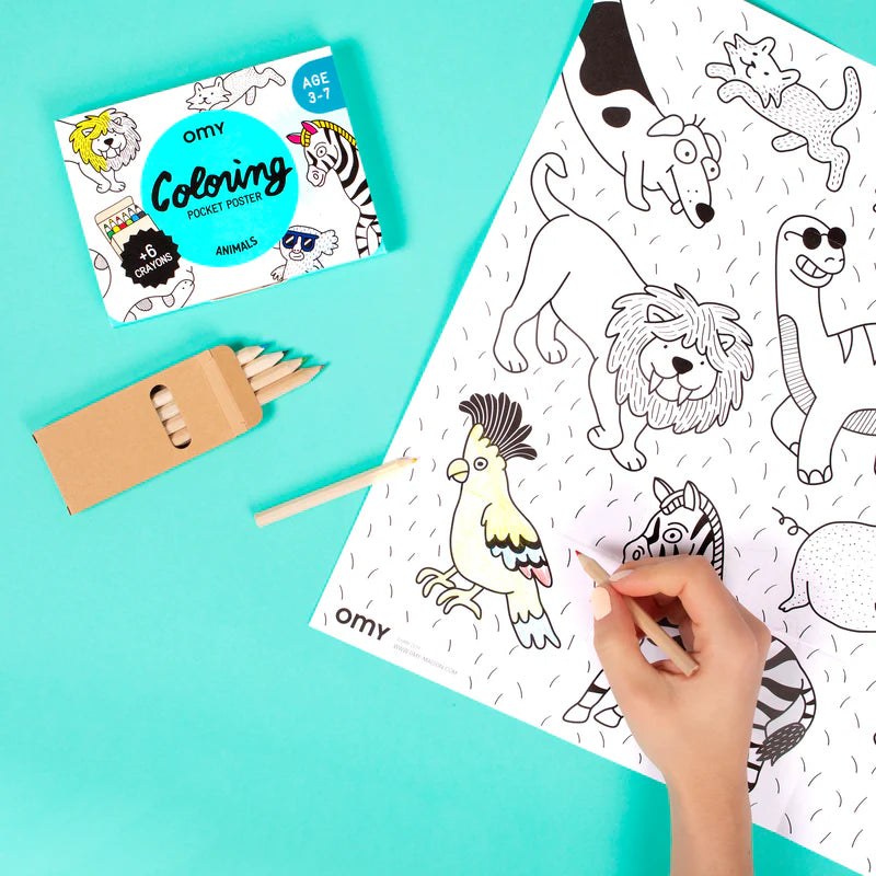 Kit de Bolso para Pintar - Animais