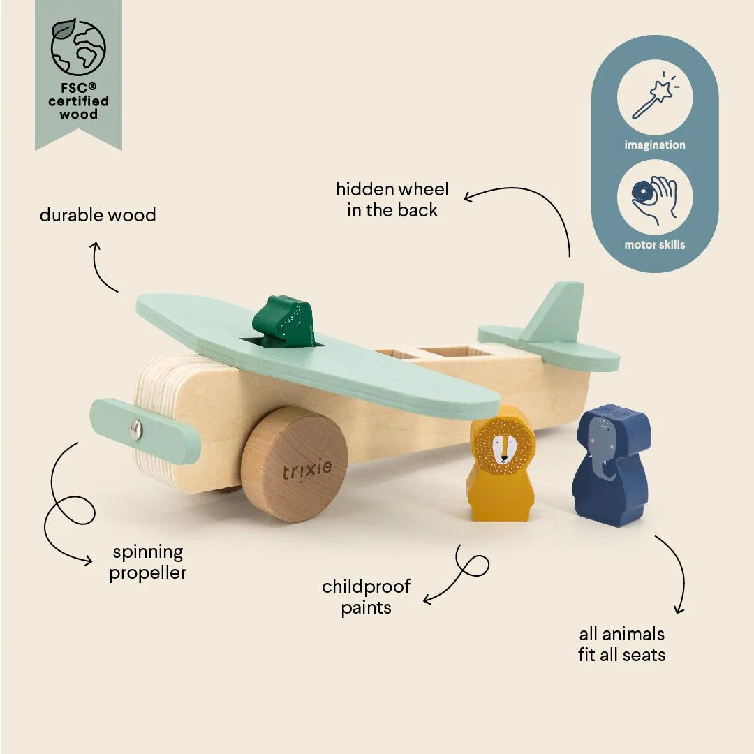 Avião de Animais de Madeira