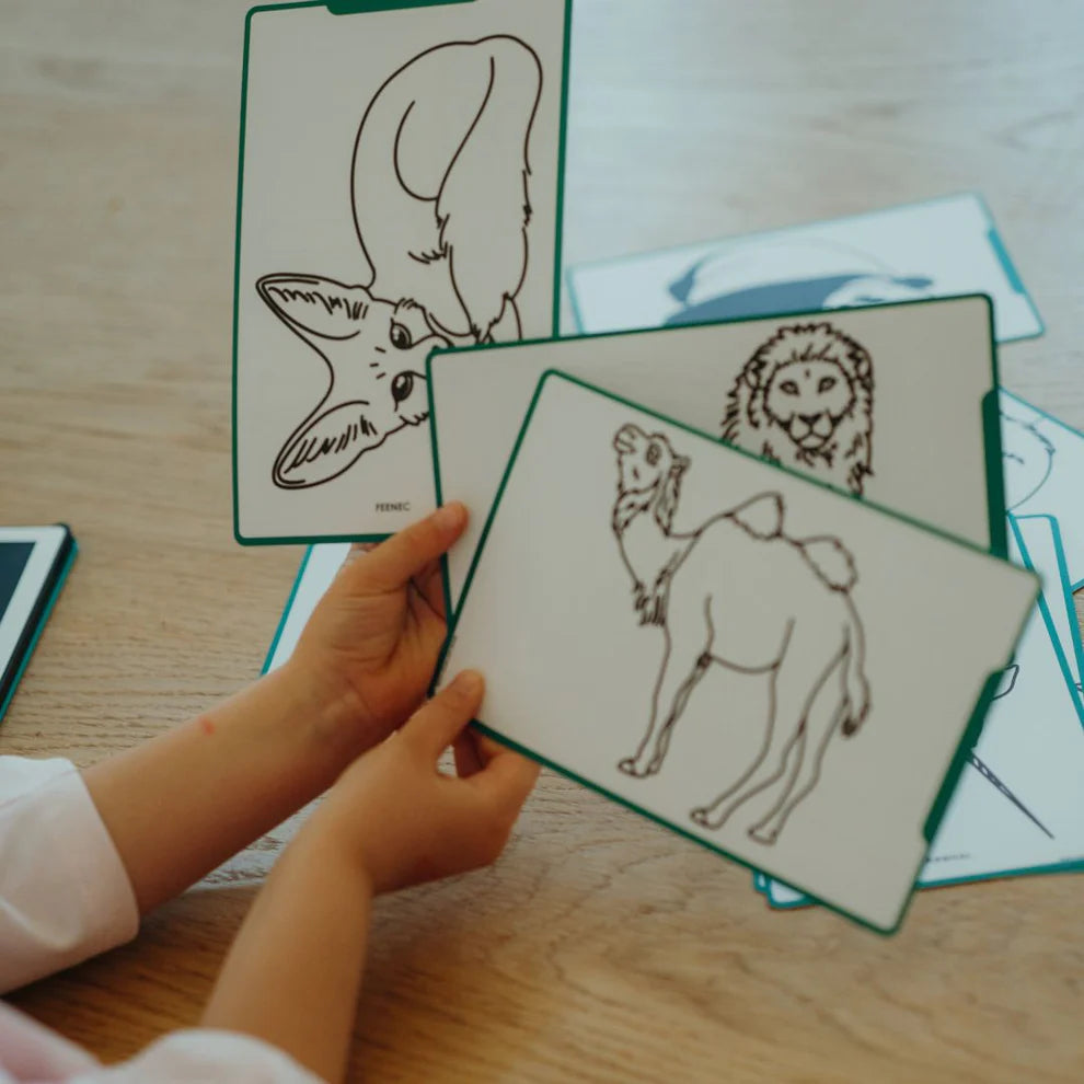 Bloco de Desenho com Ilustrações - Animais à Volta do Mundo