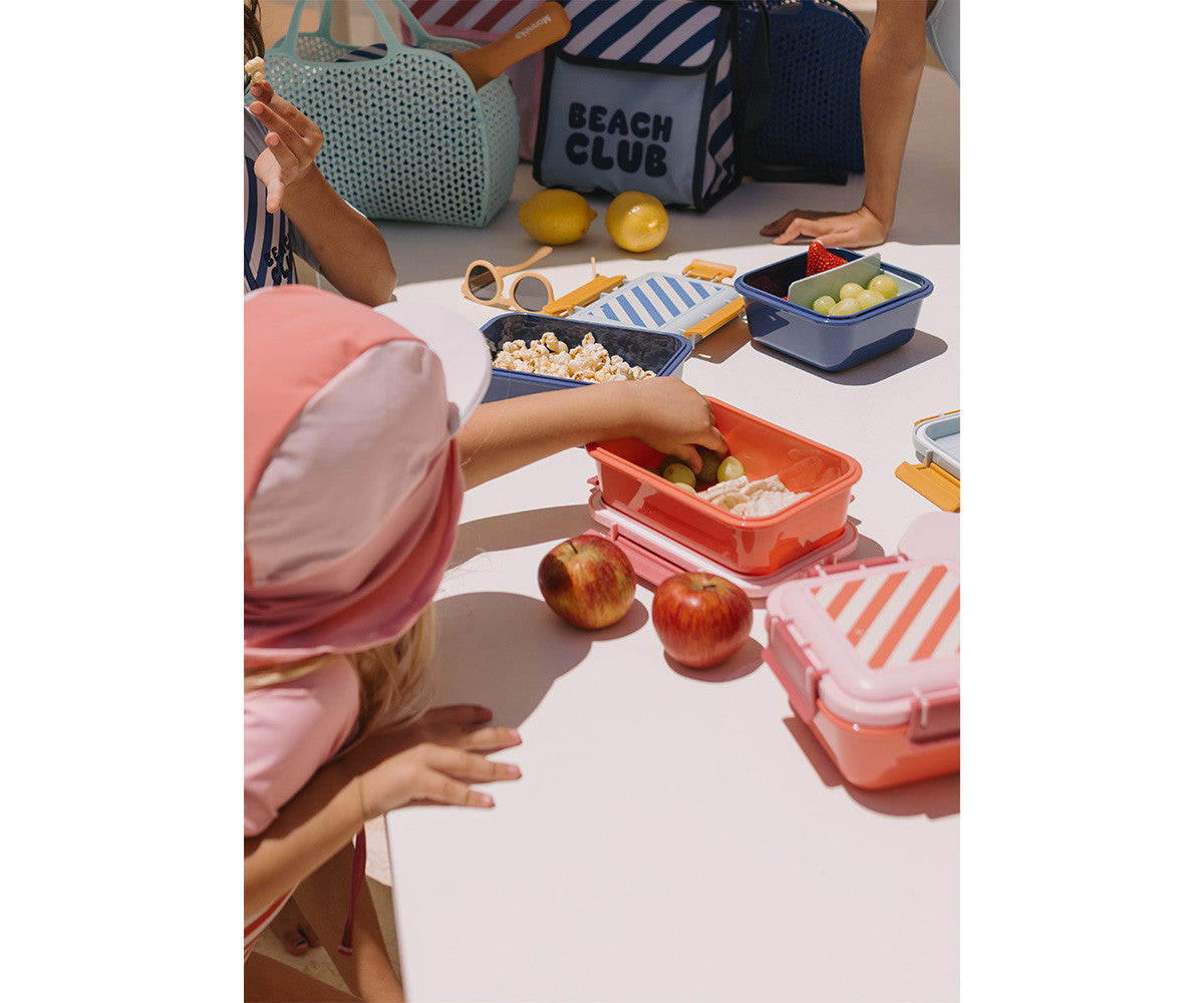 Marmita Bento de Alimentos - Stripes Bloom & Blush