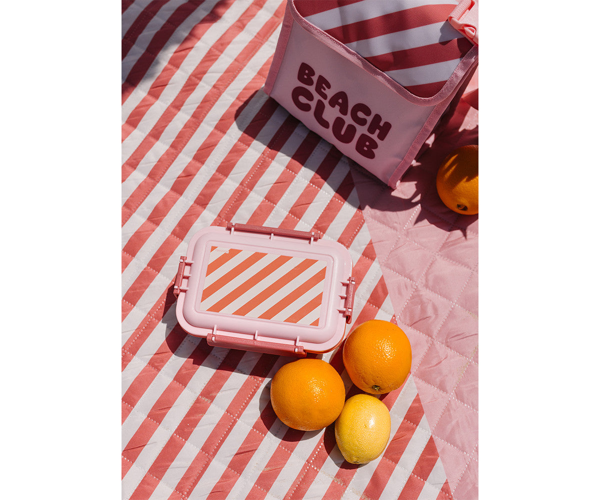 Marmita Bento de Alimentos - Stripes Bloom & Blush