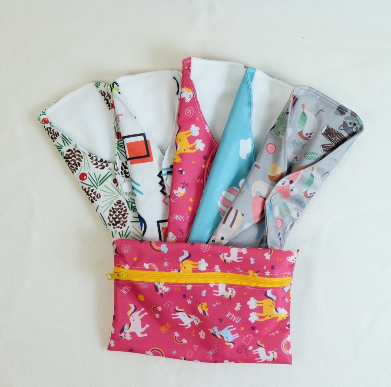 Conjunto de 5 Pensos Laváveis
