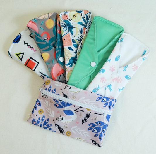 Conjunto de 5 Pensos Laváveis